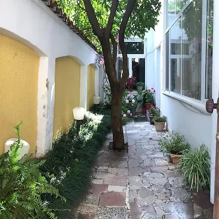 Pension Andrea טיראנה