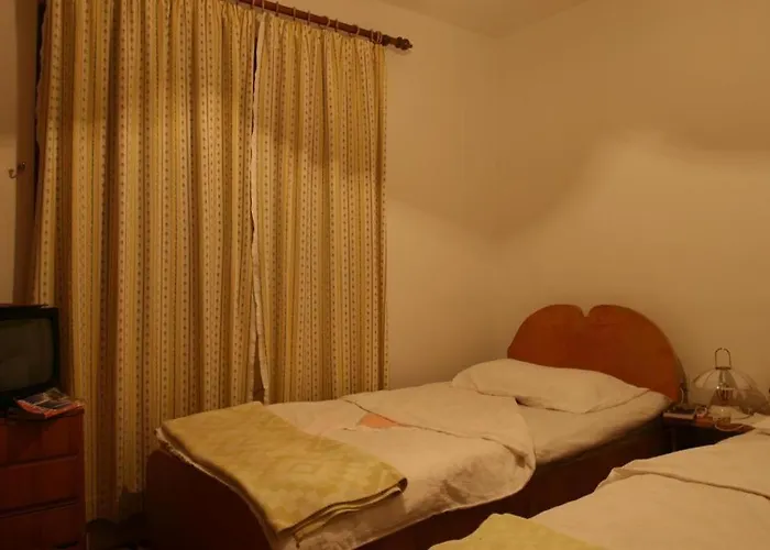 בית הארחה Pension Andrea טיראנה