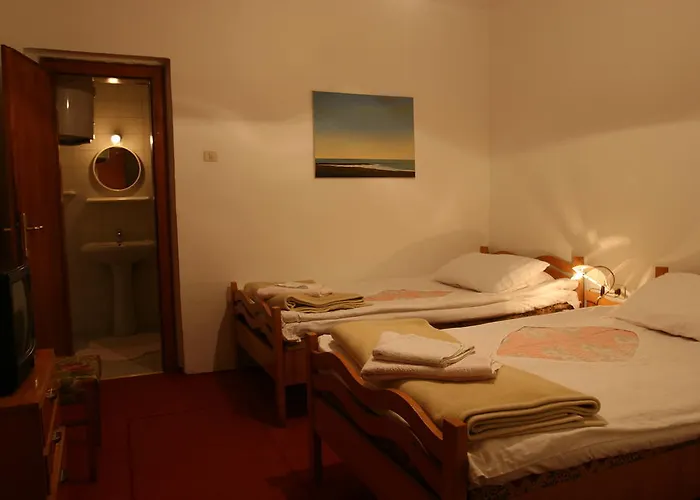 Pension Andrea 2* טיראנה