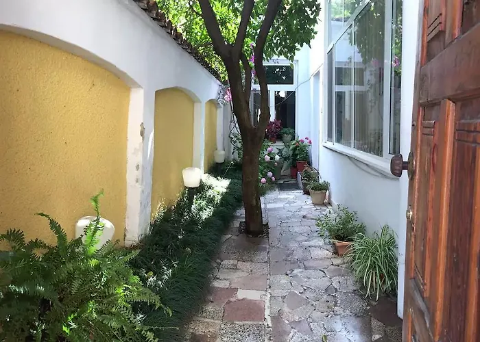 Pension Andrea טיראנה